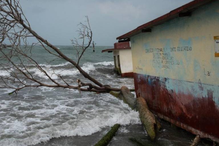 Claves para entender la reciente resolución de la Corte Interamericana que obliga a los países a atender la crisis climática