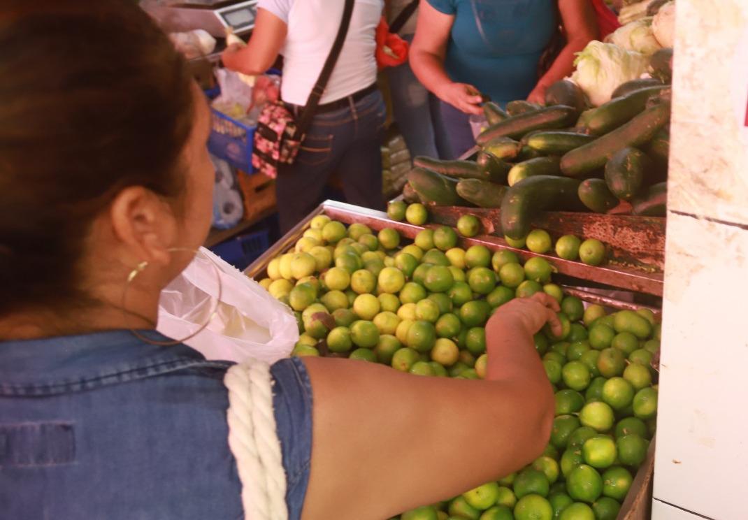 $!Aumenta el precio del limón hasta a $60 por kilo en Mazatlán