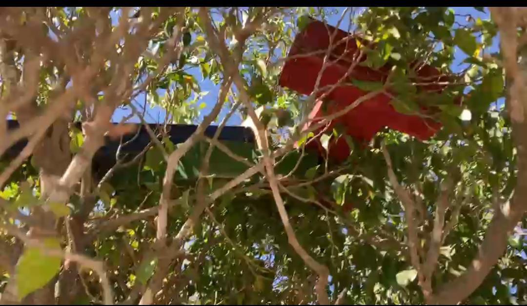 $!Vandalizan letras panorámicas en Ejido La Campana; vecinos piden castigo