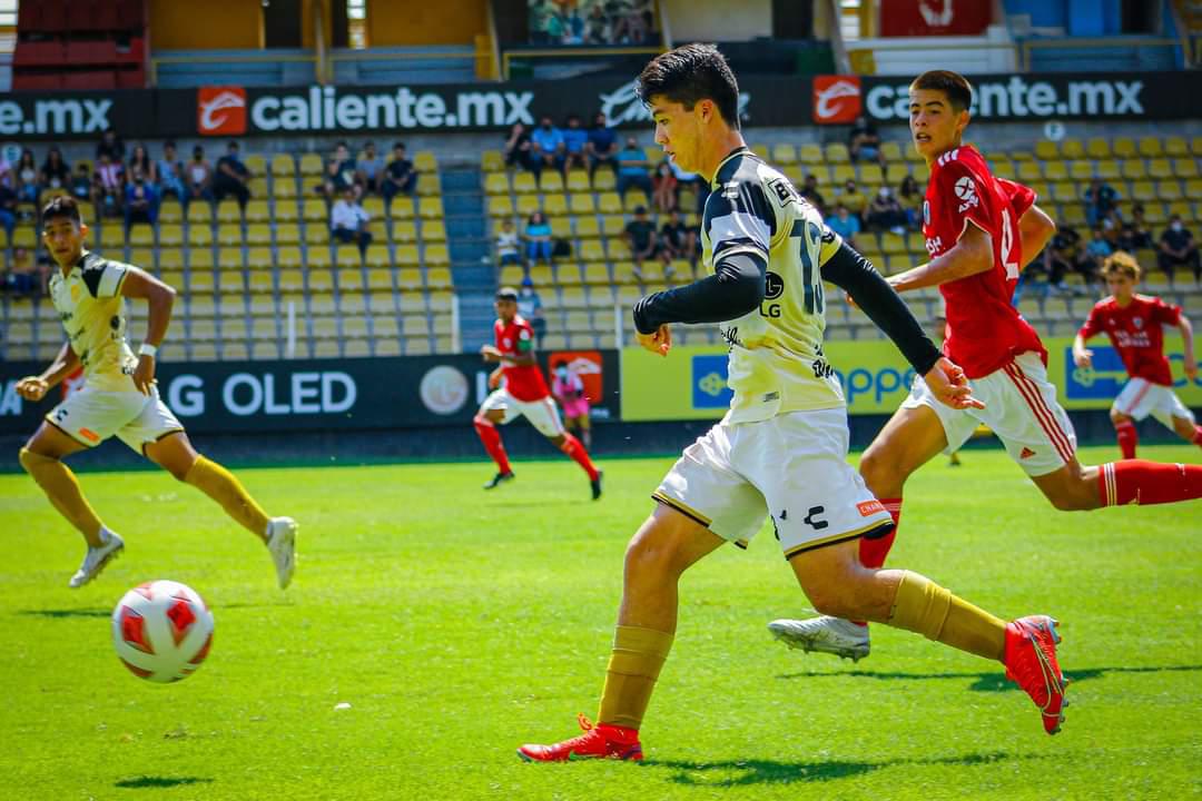$!Dramático pase de Dorados a semifinales de TDP