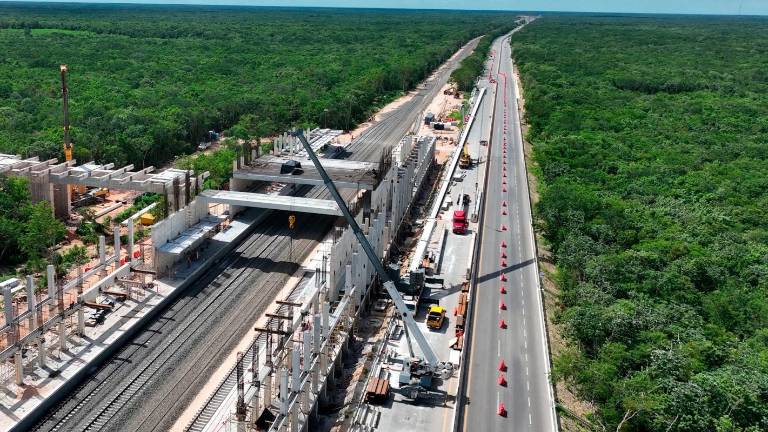 En cuanto al destino de los árboles talados, Fonatur aseguró que “el producto del desmonte fue troceado y triturado”.