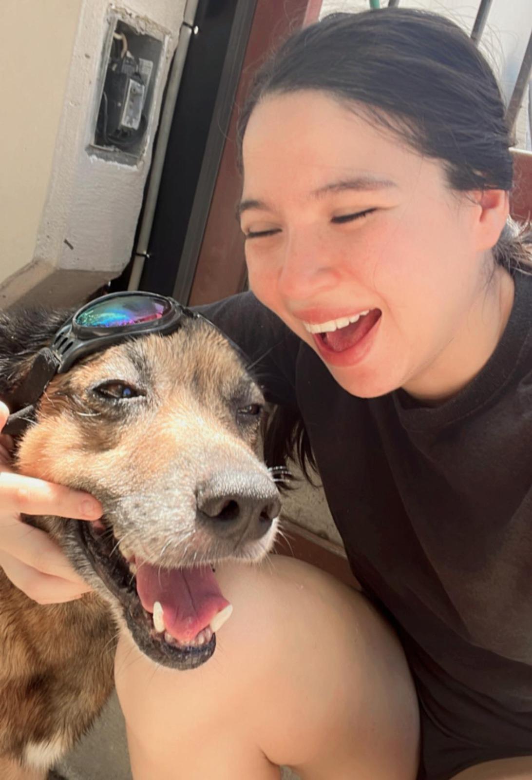 $!Fallece ‘Osito’, el perrito rescatado en Mazatlán tras ser golpeado con una pala