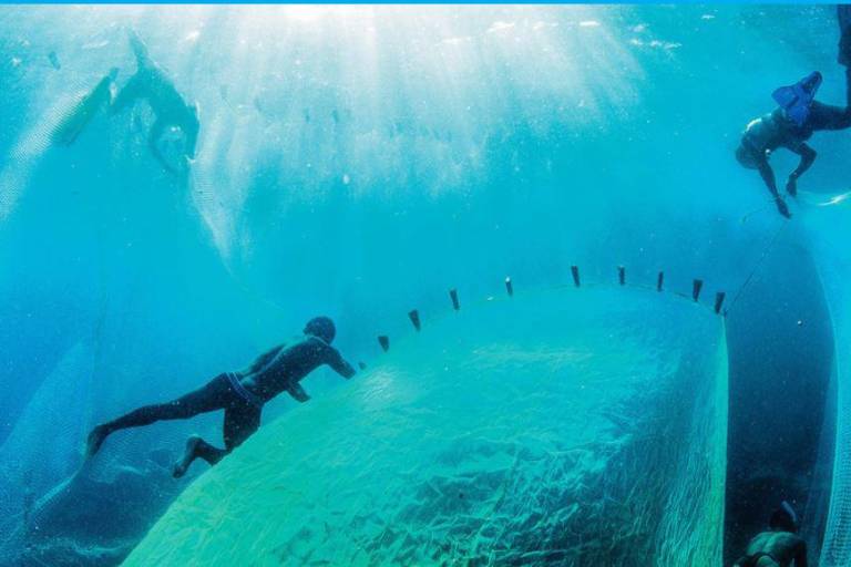 Lanzan iniciativa mundial para acabar con la basura marina y limpiar los océanos