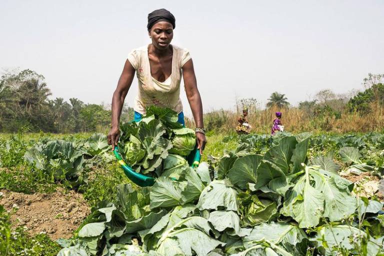 Desigualdad de género en alimentación y agricultura cuestan al mundo un billón de dólares