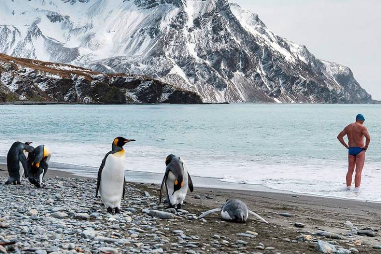 El deshielo antártico expone al pingüino emperador a la extinción
