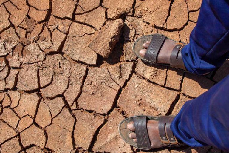 La desertificación y la degradación del suelo afecta a 3,000 millones de personas en todo el mundo