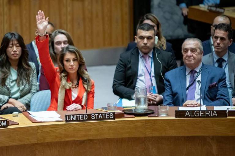 Sesión del Consejo de Seguridad de las Naciones Unidas.