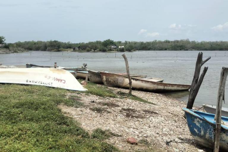 Aplazan para octubre inicio de capturas de camarón en El Huizache-Caimanero