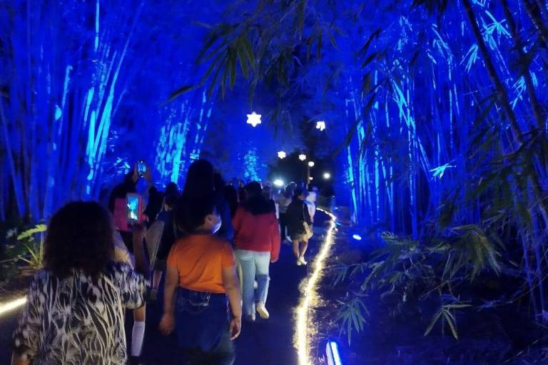 Regresa la magia con La Navidad en el Botánico