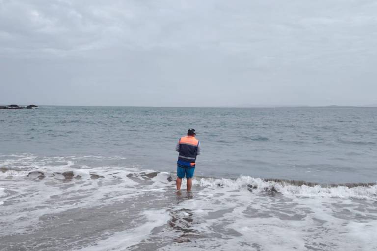 Playas de Sinaloa aptas para uso recreativo este verano: Coepriss