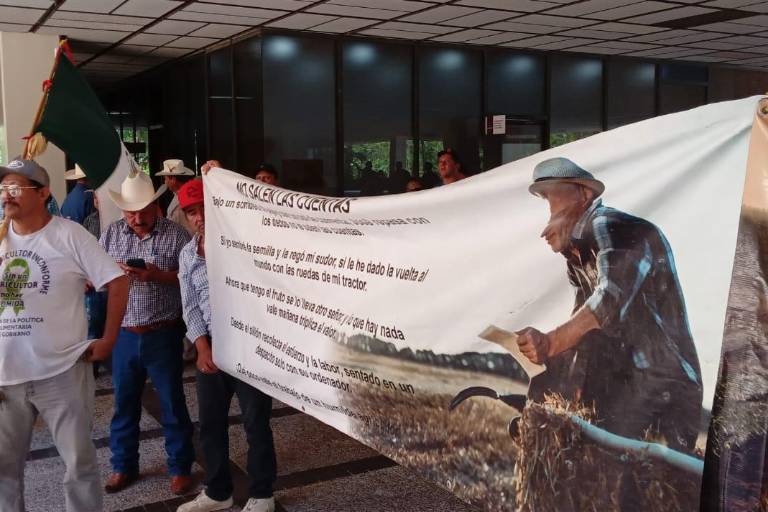 Acuerdan productores de maíz con Gobierno federal pago de 750 pesos por tonelada la próxima semana