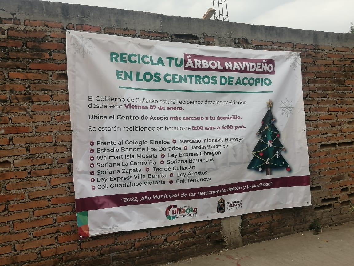 $!No deseches tu árbol de Navidad, recíclalo en los centros de acopio de Culiacán