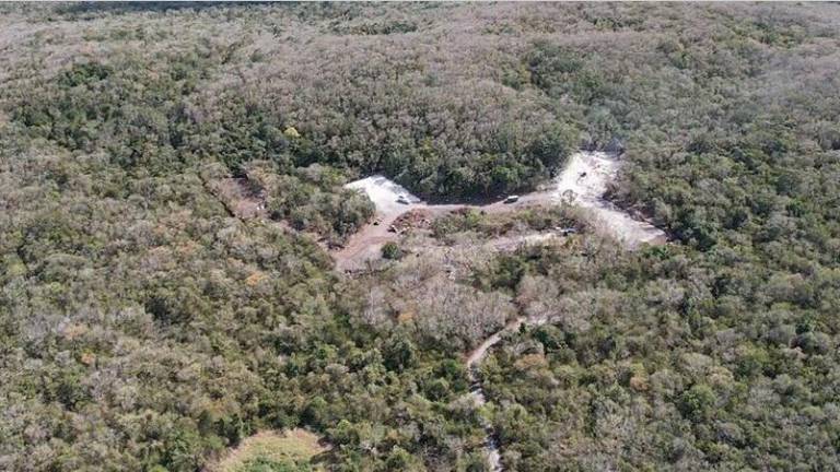 Construcción de un hotel en la Reserva de la Biósfera de Calakmul.