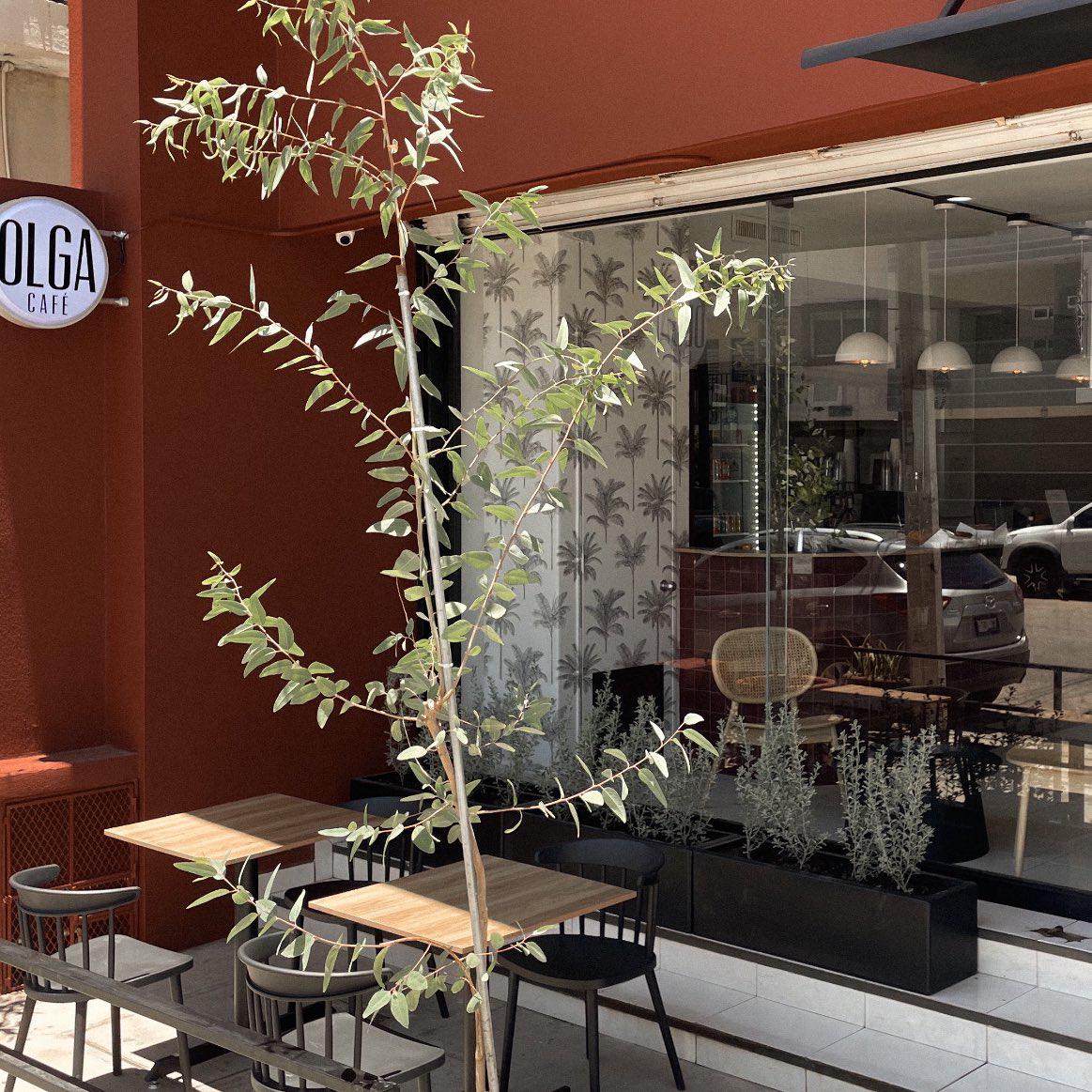 $!Olga Café innova para resistir la inseguridad de Culiacán