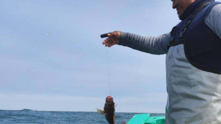 Pescadores, consumidores y tecnología: una alianza para salvar los océanos