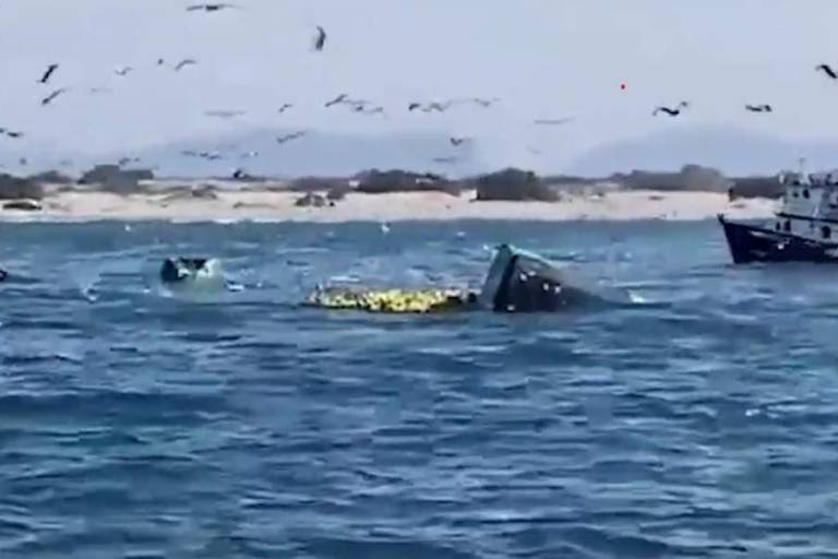 Muere pescador tras hundirse barco atunero de Sonora en aguas de Ahome