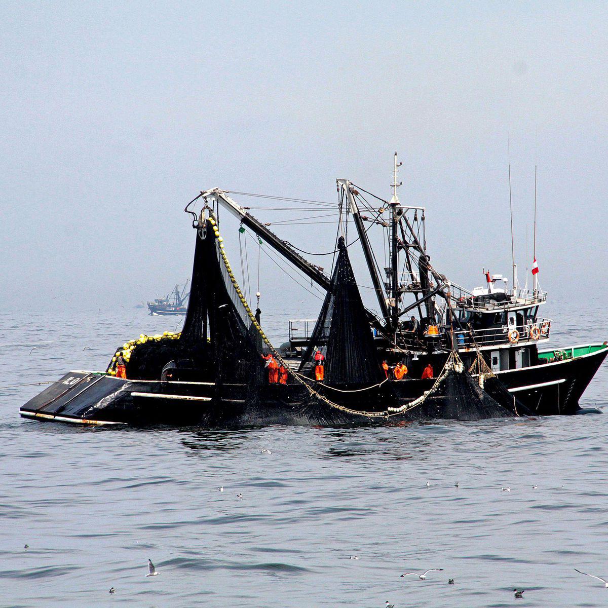 $!Expertos desarman los argumentos de la industria pesquera contra la firma del Tratado de Alta Mar