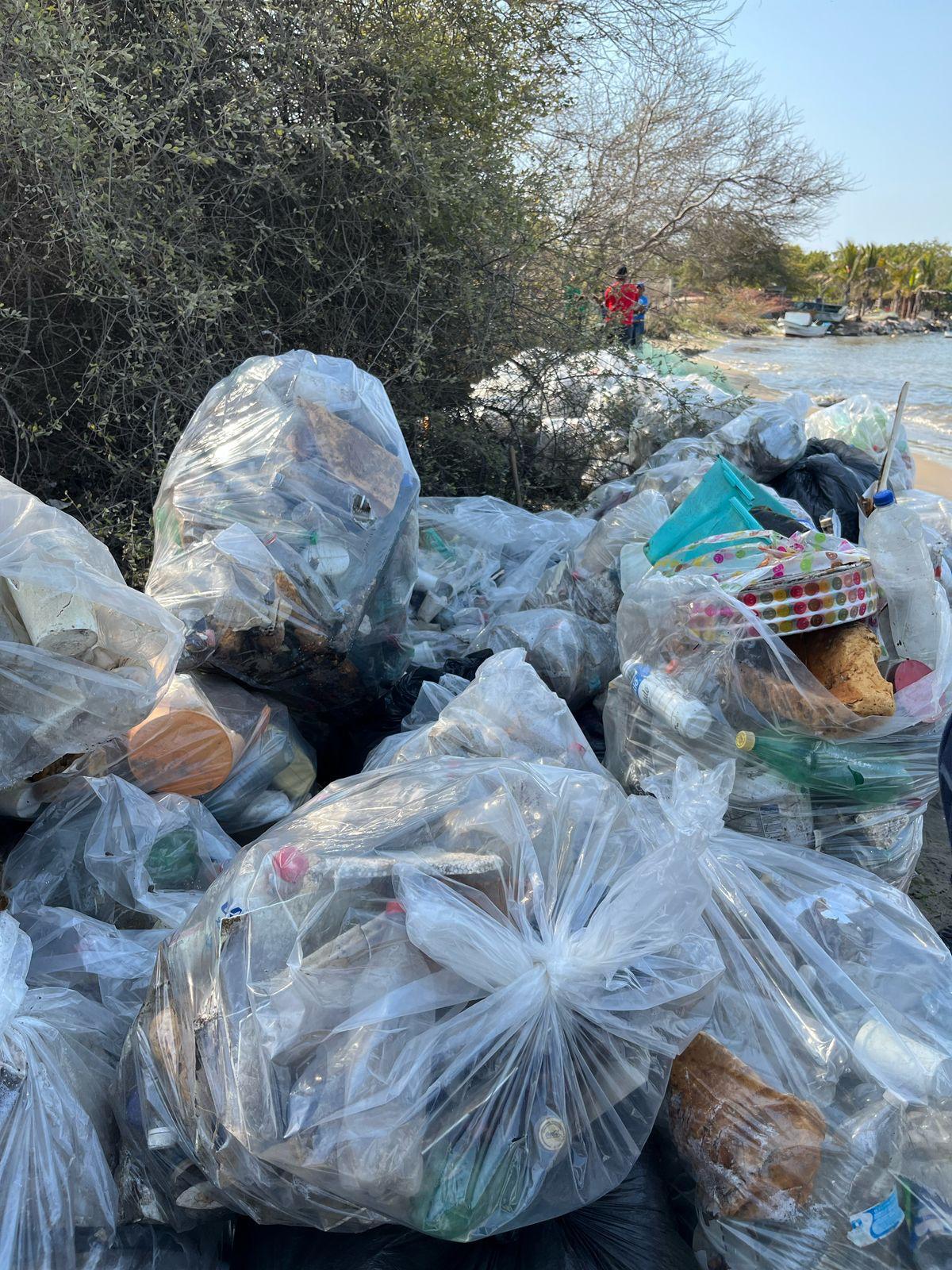 $!Recolecta MazConCiencia más de 700 kilos de plásticos en jornada de limpieza en la Isla de la Piedra