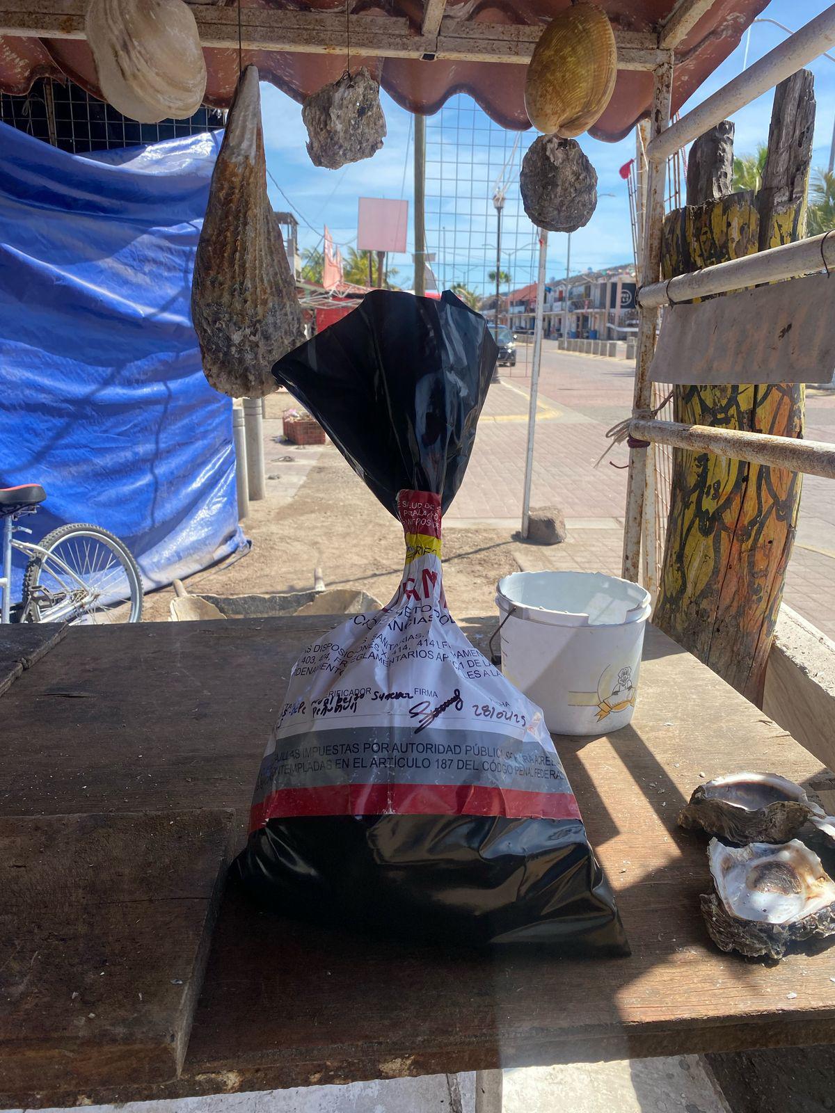 $!Detecta Coepriss extracción de ostiones de la bahía de Altata, en Navolato, pese a veda sanitaria