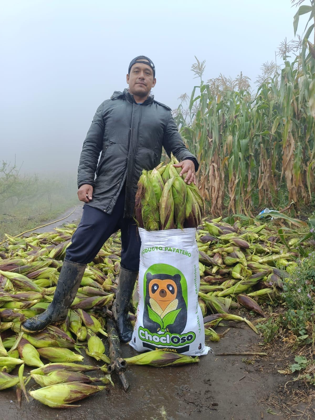 $!La venta de los saquillos a bajo costo ha permitido compensar a campesinos que sufren pérdidas en sus maizales por las incursiones de los osos andinos.