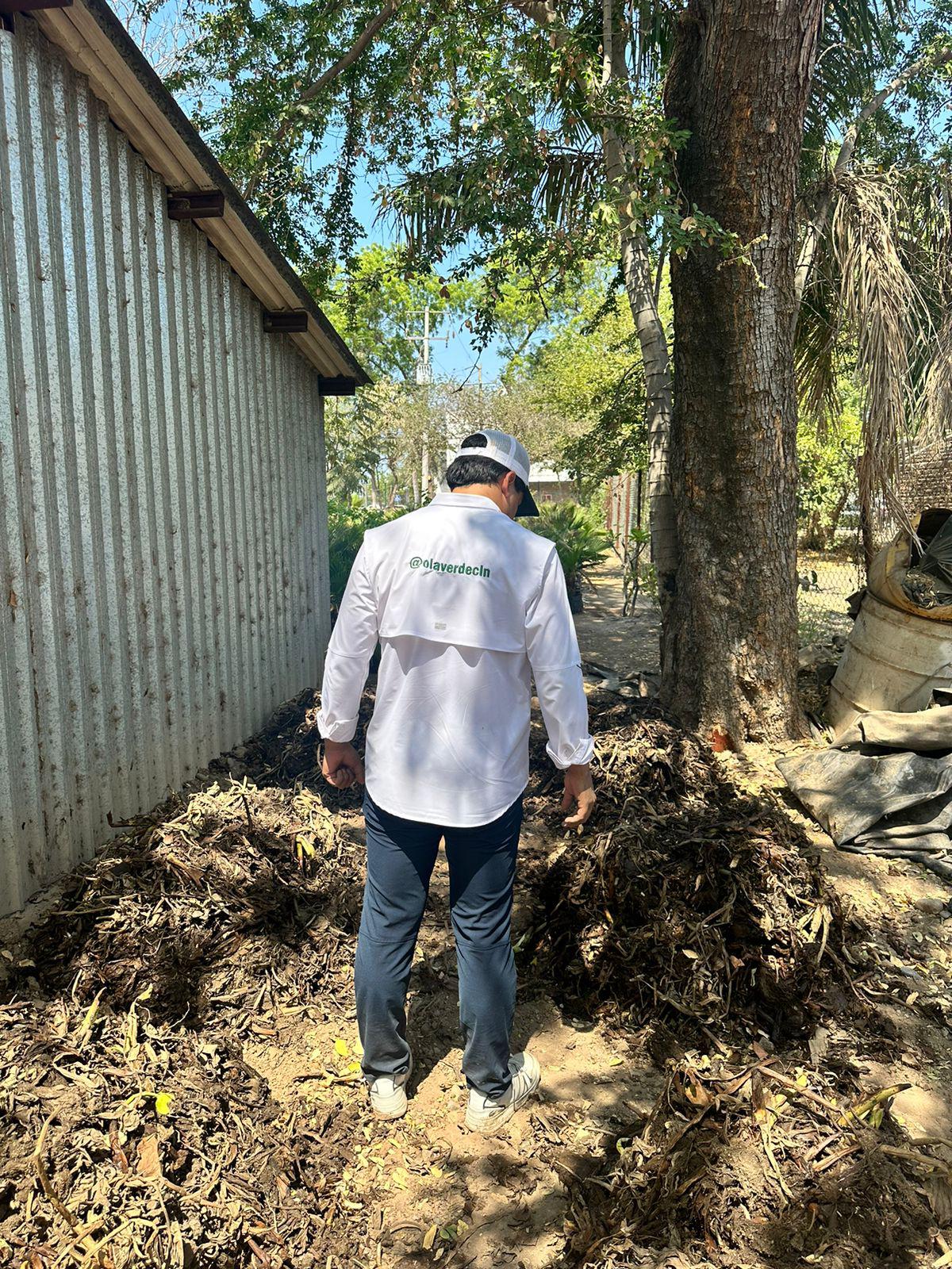 $!Proponen programa para aprovechar lirio acuático de río Humaya en Culiacán y convertirlo en abono