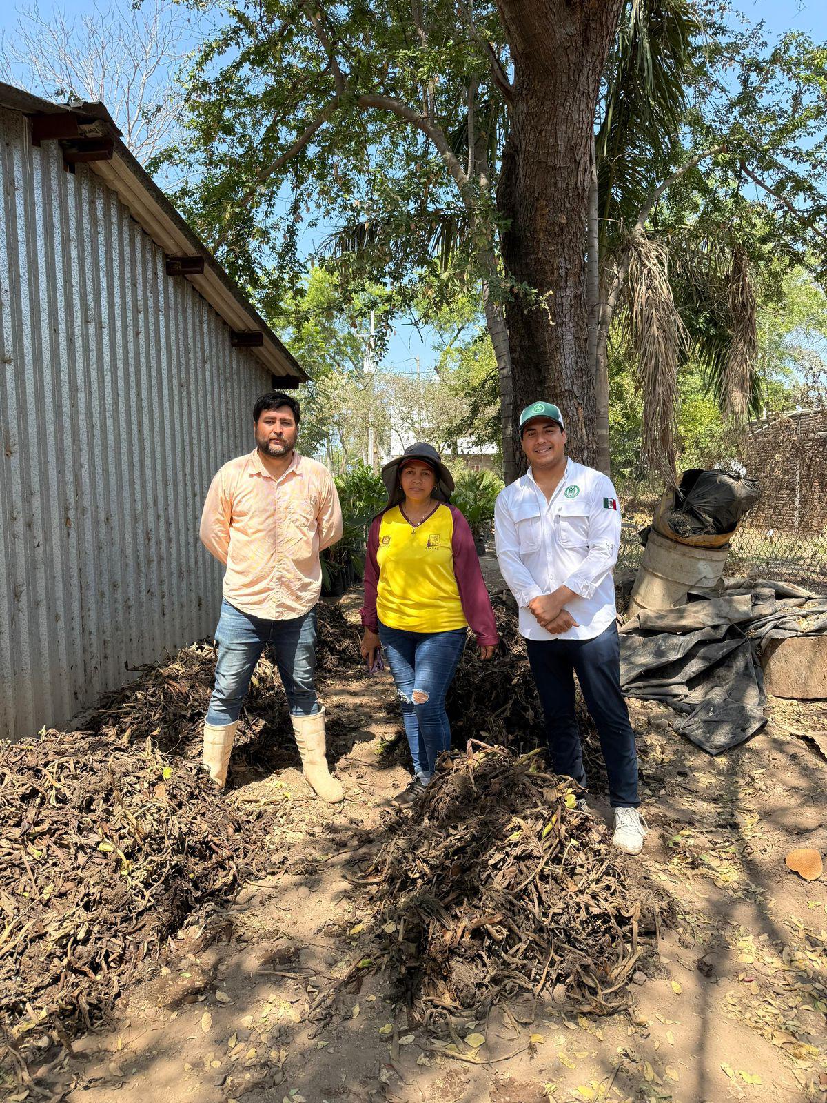 $!Proponen programa para aprovechar lirio acuático de río Humaya en Culiacán y convertirlo en abono