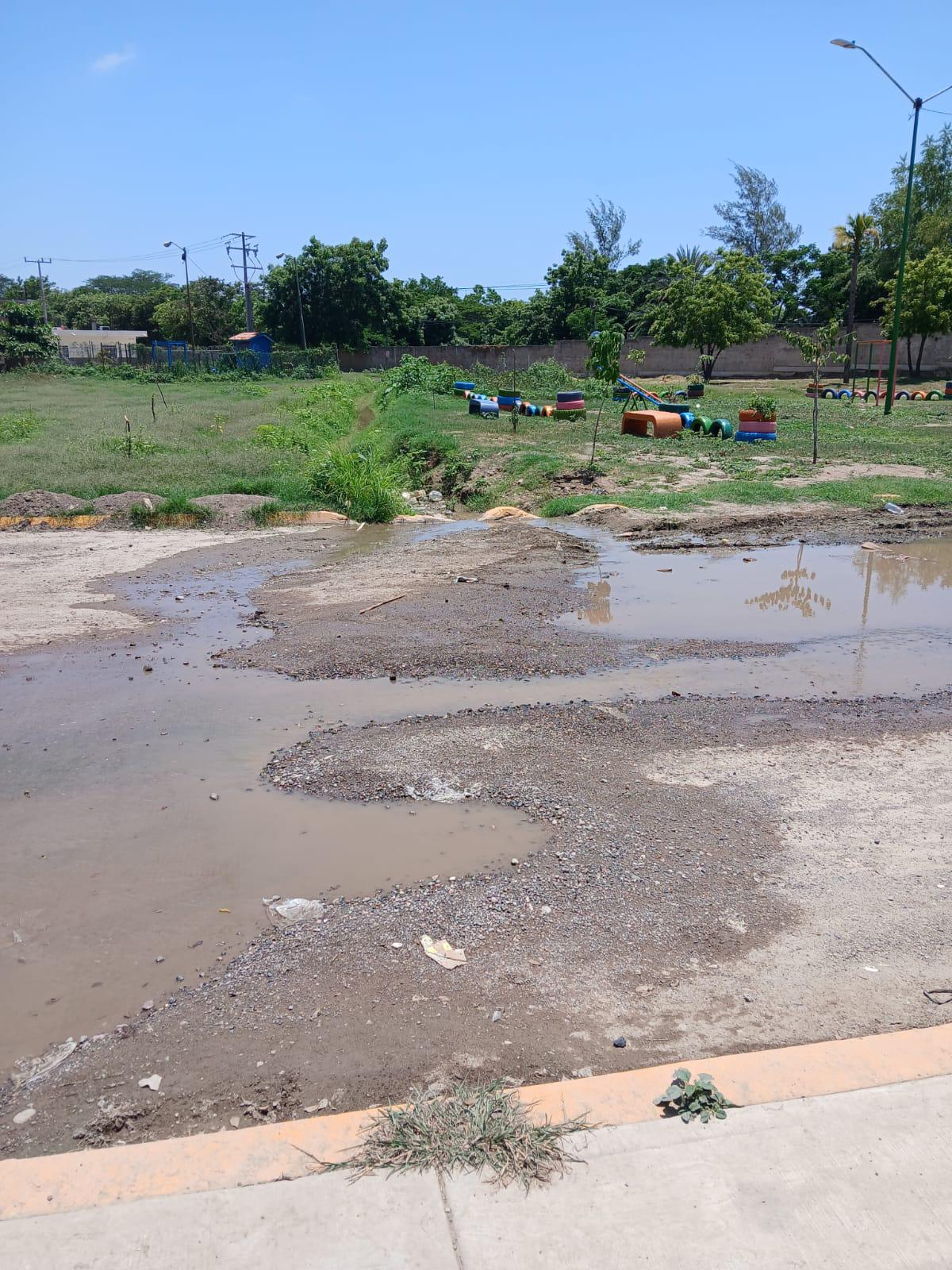$!Denuncian vecinos derrame de drenaje y mosquitos en la Genaro Estrada, en Mazatlán