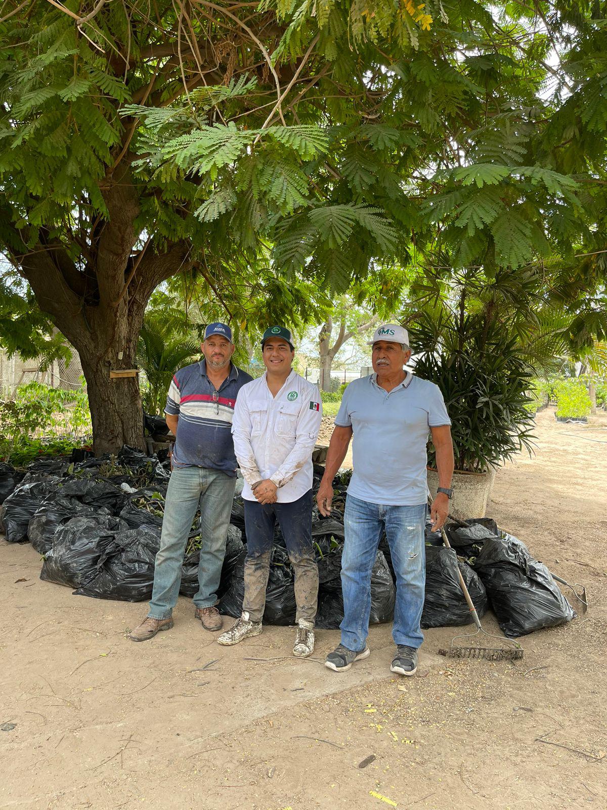 $!Proponen programa para aprovechar lirio acuático de río Humaya en Culiacán y convertirlo en abono
