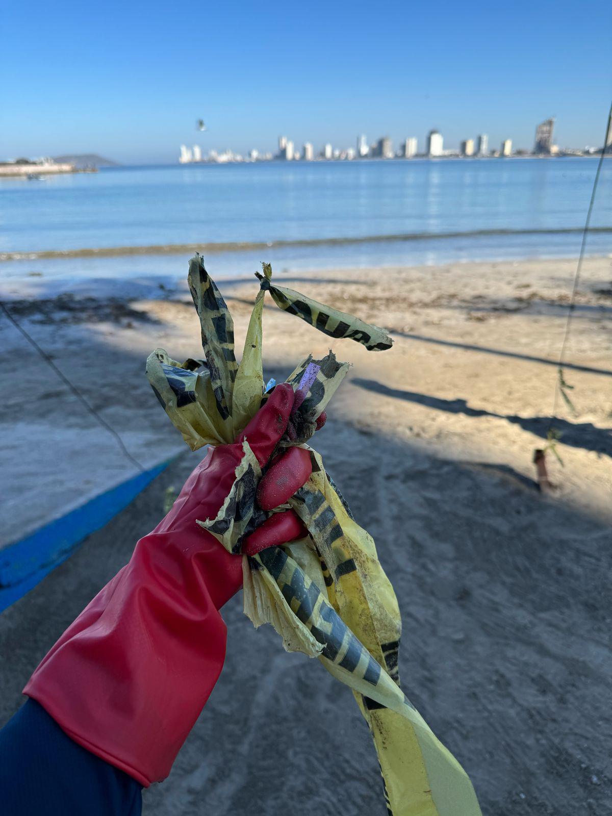 $!Continúa MazConCiencia con labores de limpieza por distintas zonas de Mazatlán