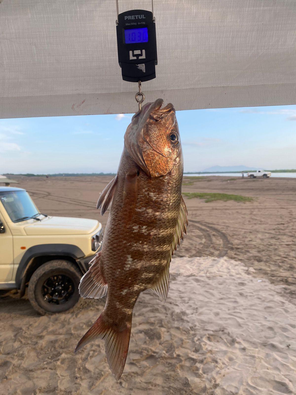 $!En Rosario, realizan el Tercer Torneo de Pesca de Orilla 2025