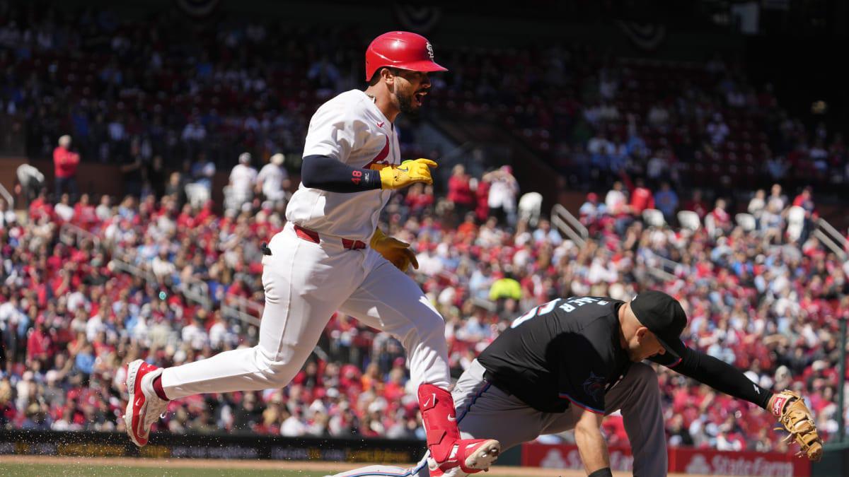 $!Matz domina y Cardenales vuelven a doblegar a Marlins