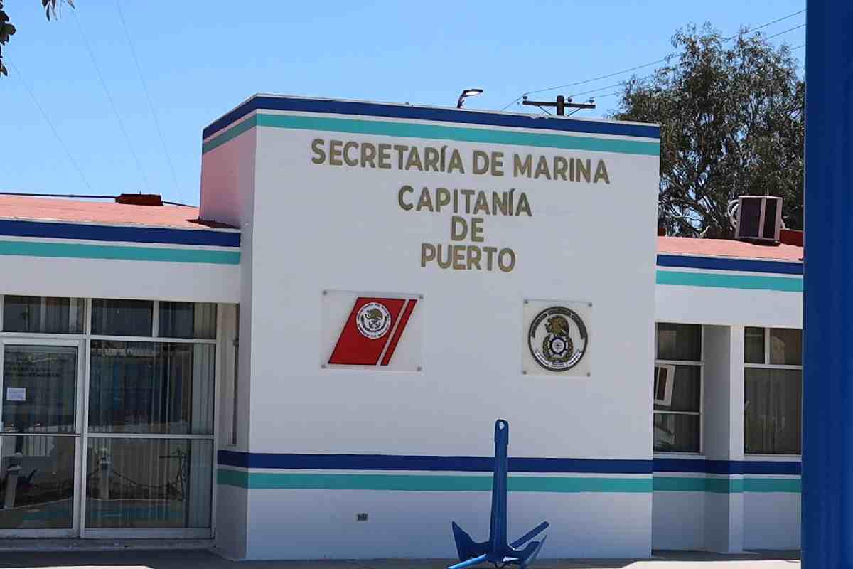 $!Gobierno de AMLO abandonó desde 2021 proyecto esencial para conservación de la vaquita marina