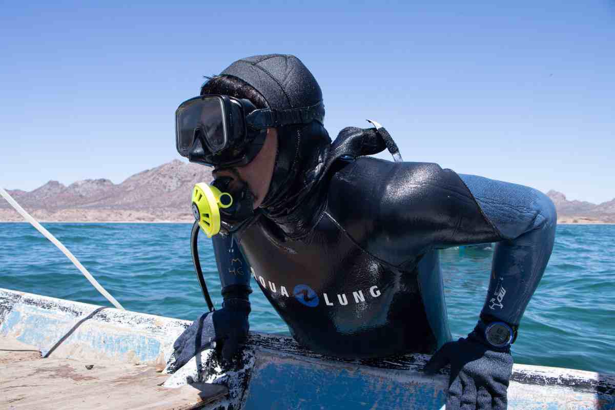 $!Una cooperativa busca repoblar el callo de hacha y restaurar el Mar de Cortés desde Bahía de Kino