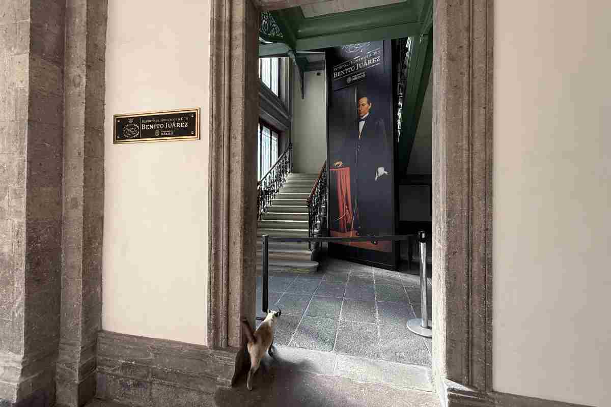 $!Restringen visitas guiadas a Palacio Nacional