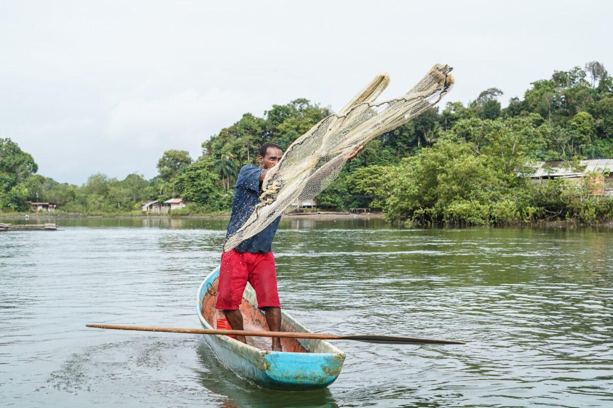 $!Pueblos afrodescendientes protegen bosques con más de 486 millones de toneladas de carbono en cuatro países amazónicos
