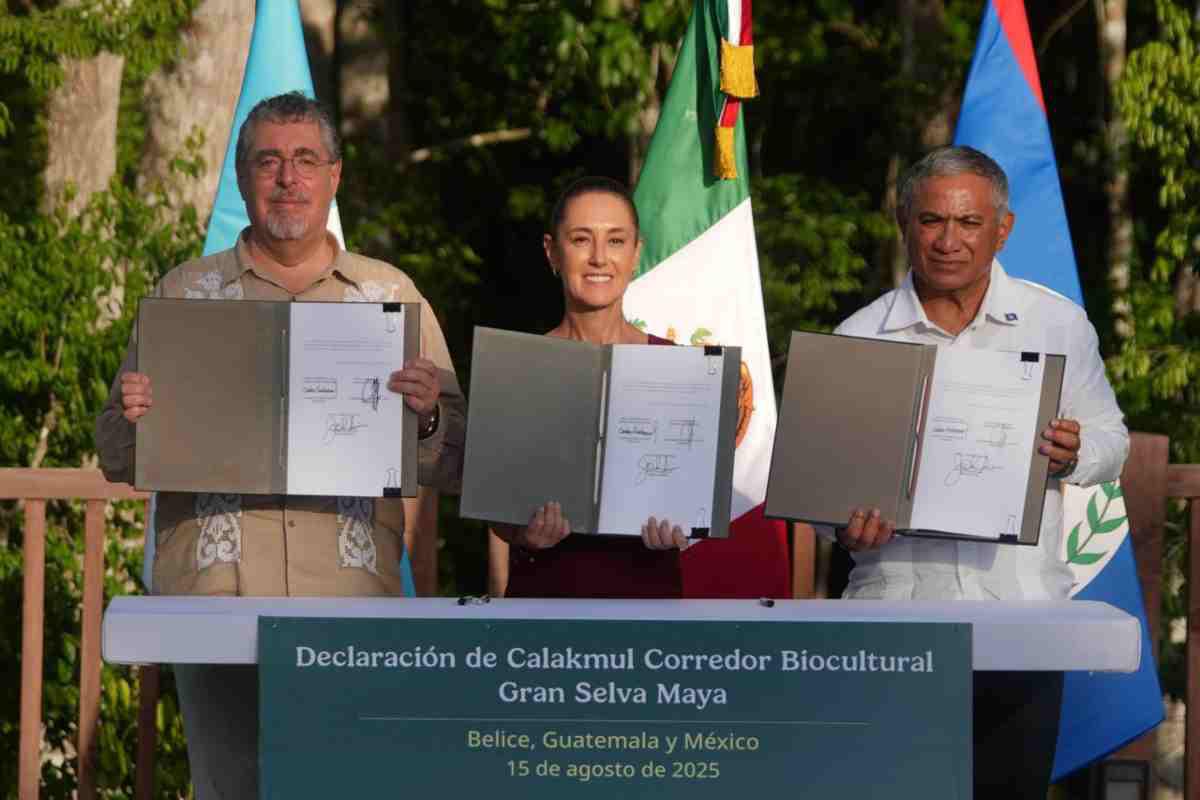 $!La Gran Selva Maya será un corredor biocultural, pese a la ampliación del Tren Maya en Guatemala
