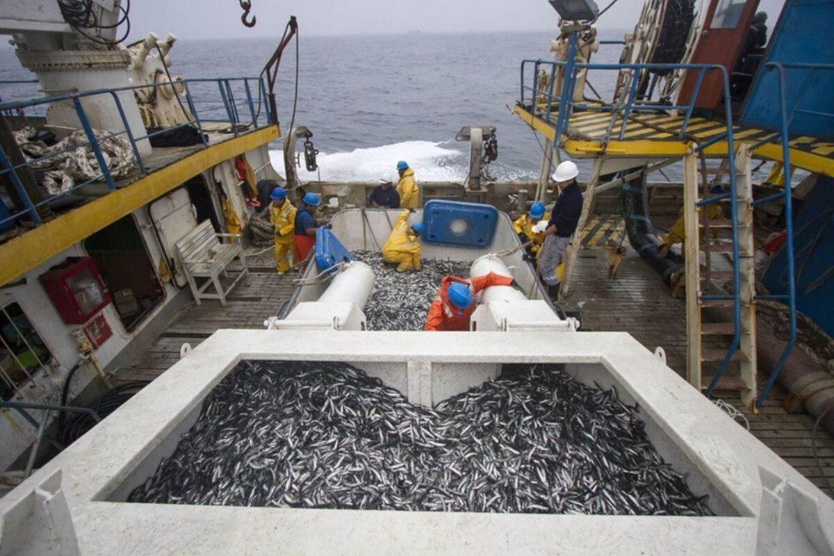 $!Declaración de Niza: avances en protección marina y vacíos con combustibles fósiles y sobrepesca