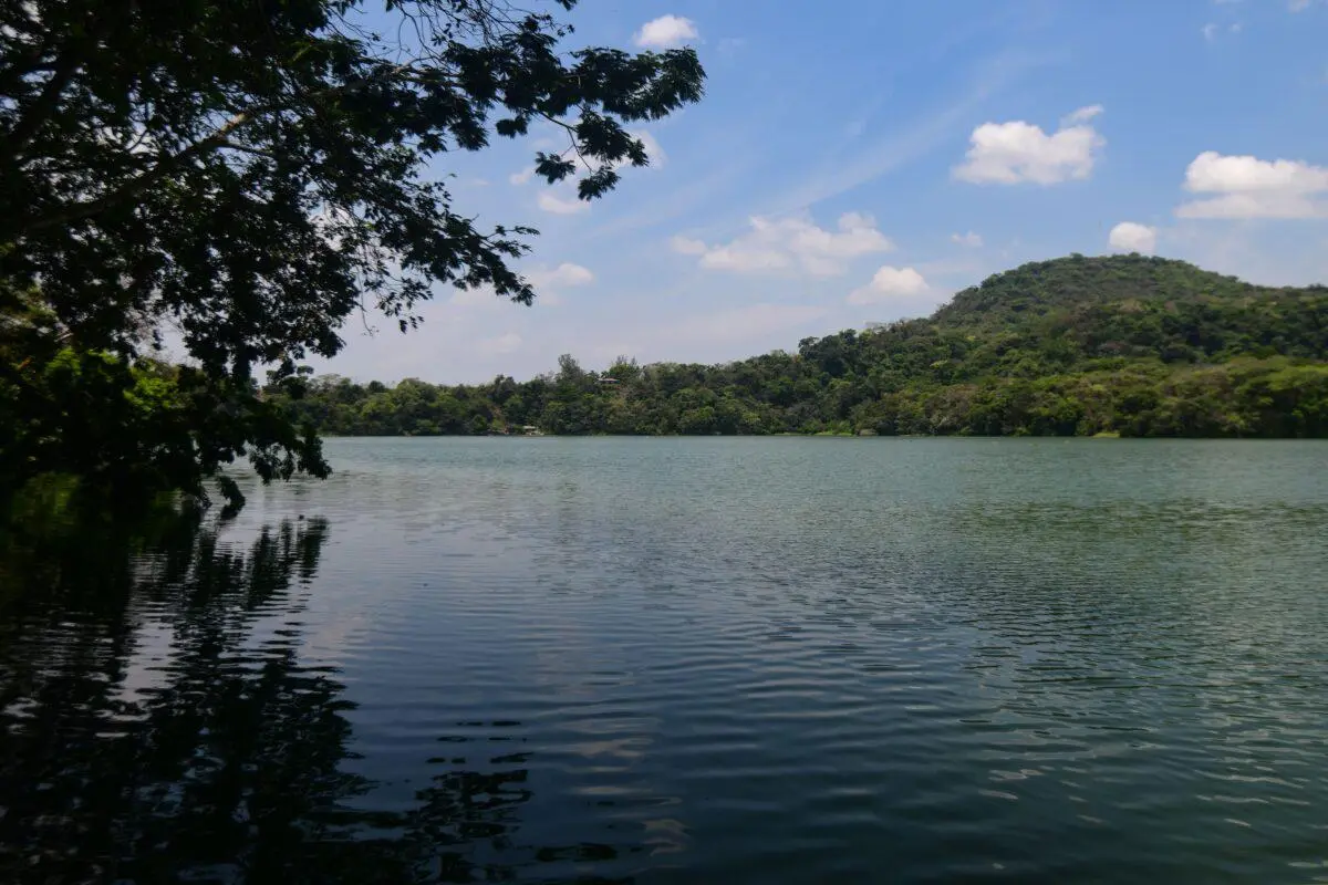 $!México: la Reserva de la Biósfera Los Tuxtlas está acorralada por proyectos mineros para el Tren Maya