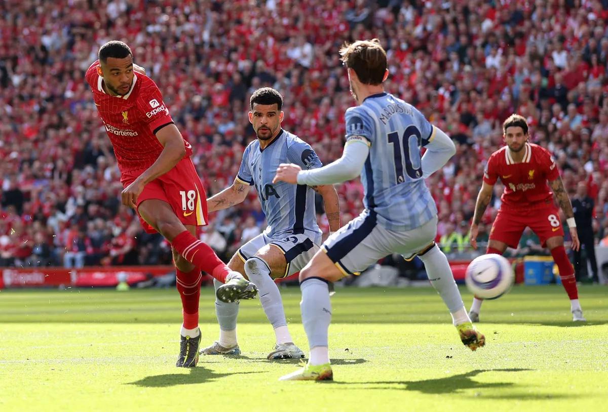 $!Liverpool se corona campeón de la Premier League con goleada sobre el Tottenham