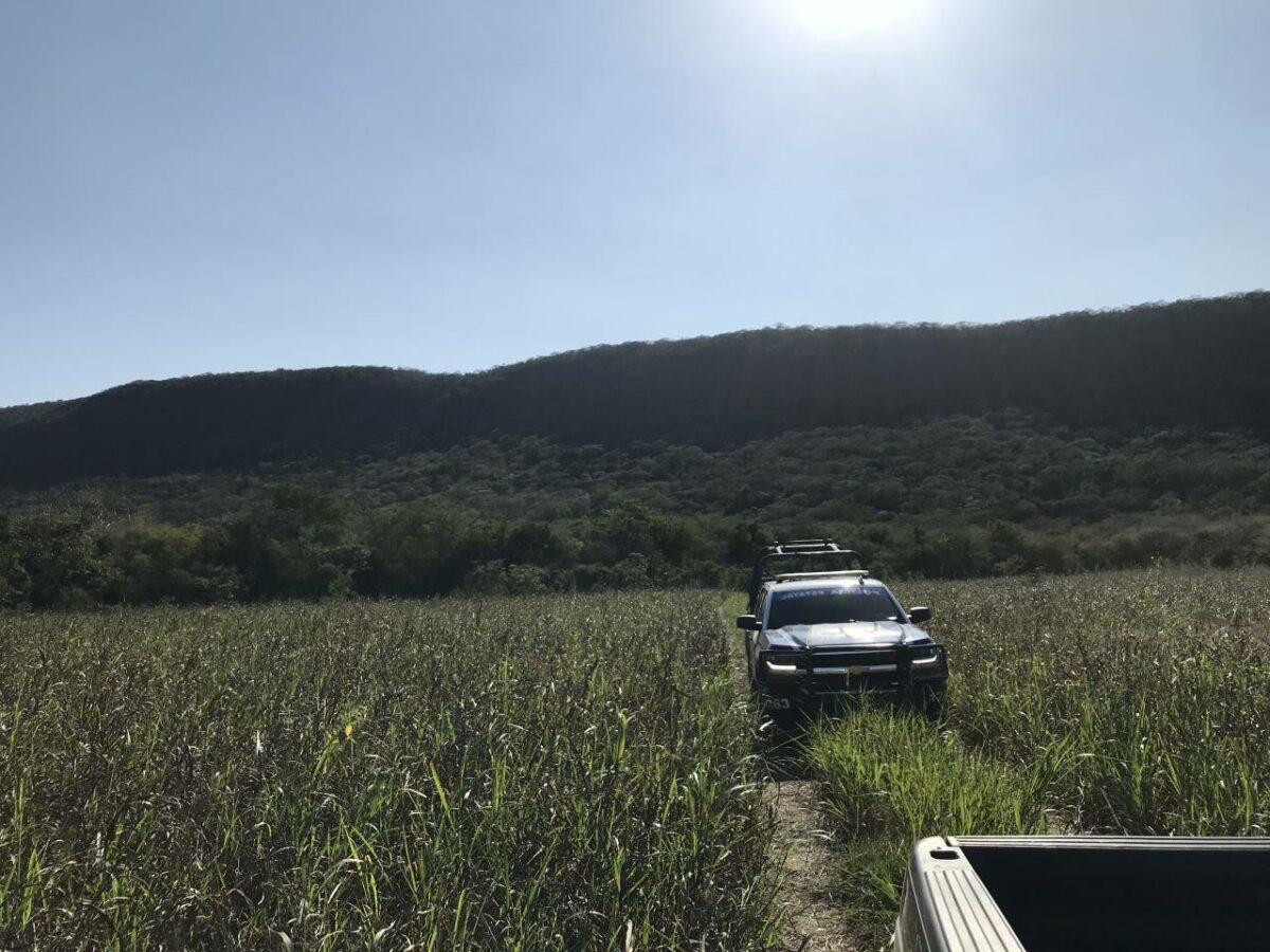 $!Una búsqueda en un sitio entre cañaverales.