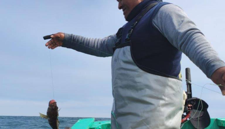 Pescadores, consumidores y tecnología: una alianza para salvar los océanos