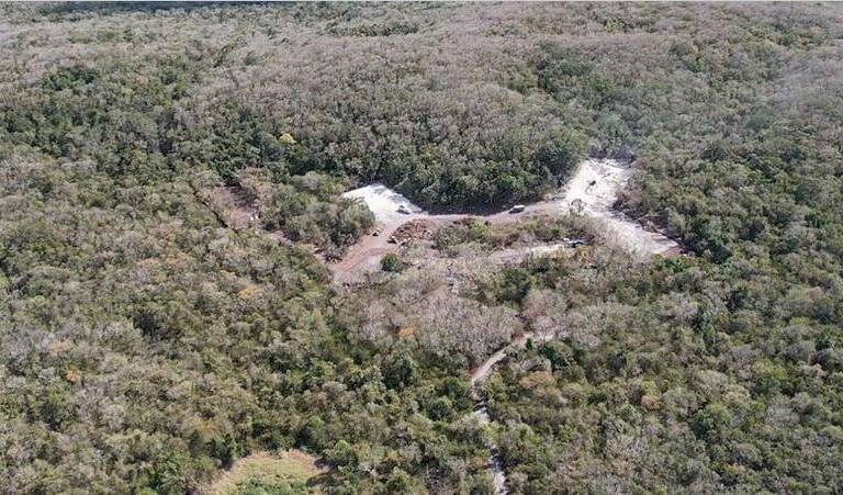 Construcción de hotel como parte del proyecto Tren Maya avanza sin permiso en una reserva forestal