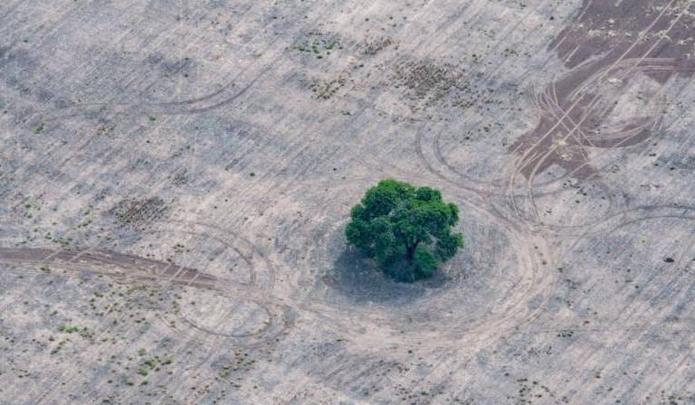 COP26: lo que tienes que saber sobre la primera semana de la cumbre para frenar el cambio climático global