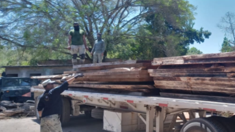 Madera asegurada en el poblado de San Marcos, en Mazatlán.