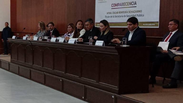 El Secretario de Seguridad, Óscar Rentería Schazarino, en comparescencia.