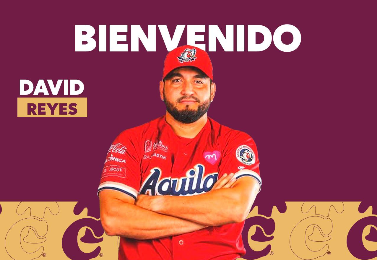 $!Tomateros elige a David Reyes como refuerzo para semifinales