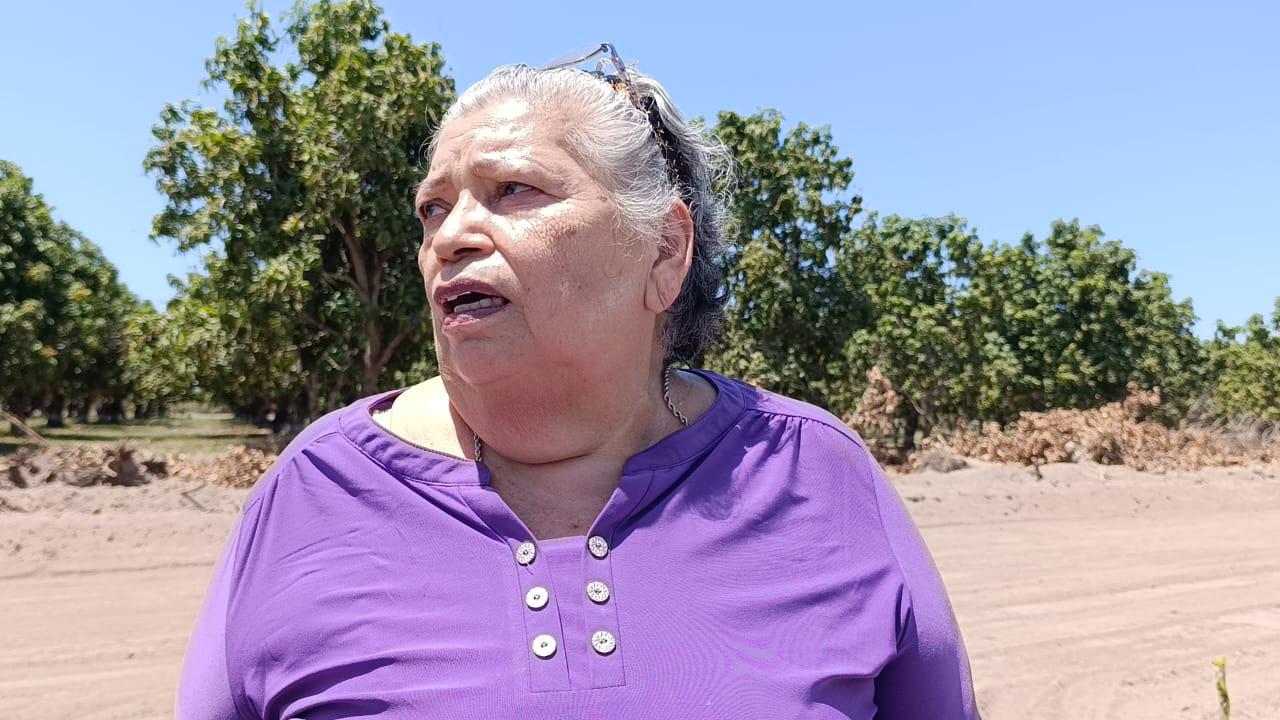 $!Exigen ejidatarios pago por daños por construcción de canal de riego de presa Santa María en Escuinapa