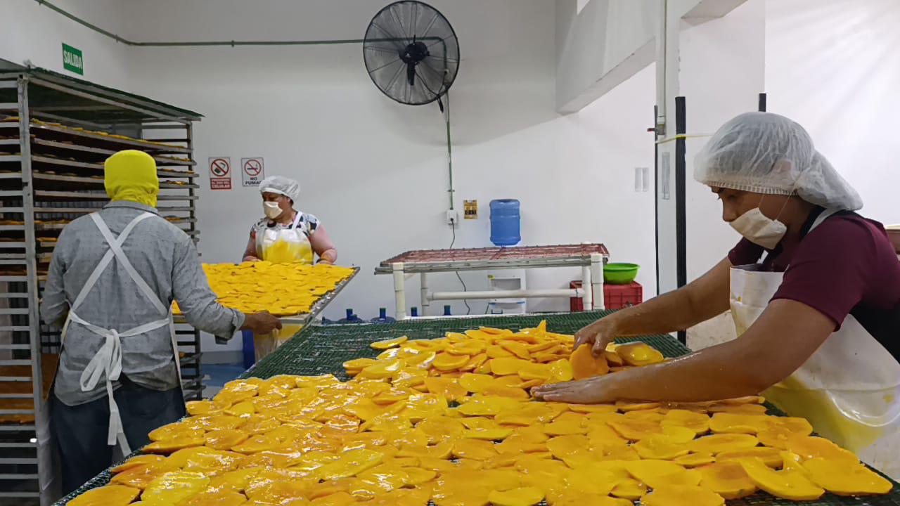 $!Apuestan por la transformación del mango en Escuinapa