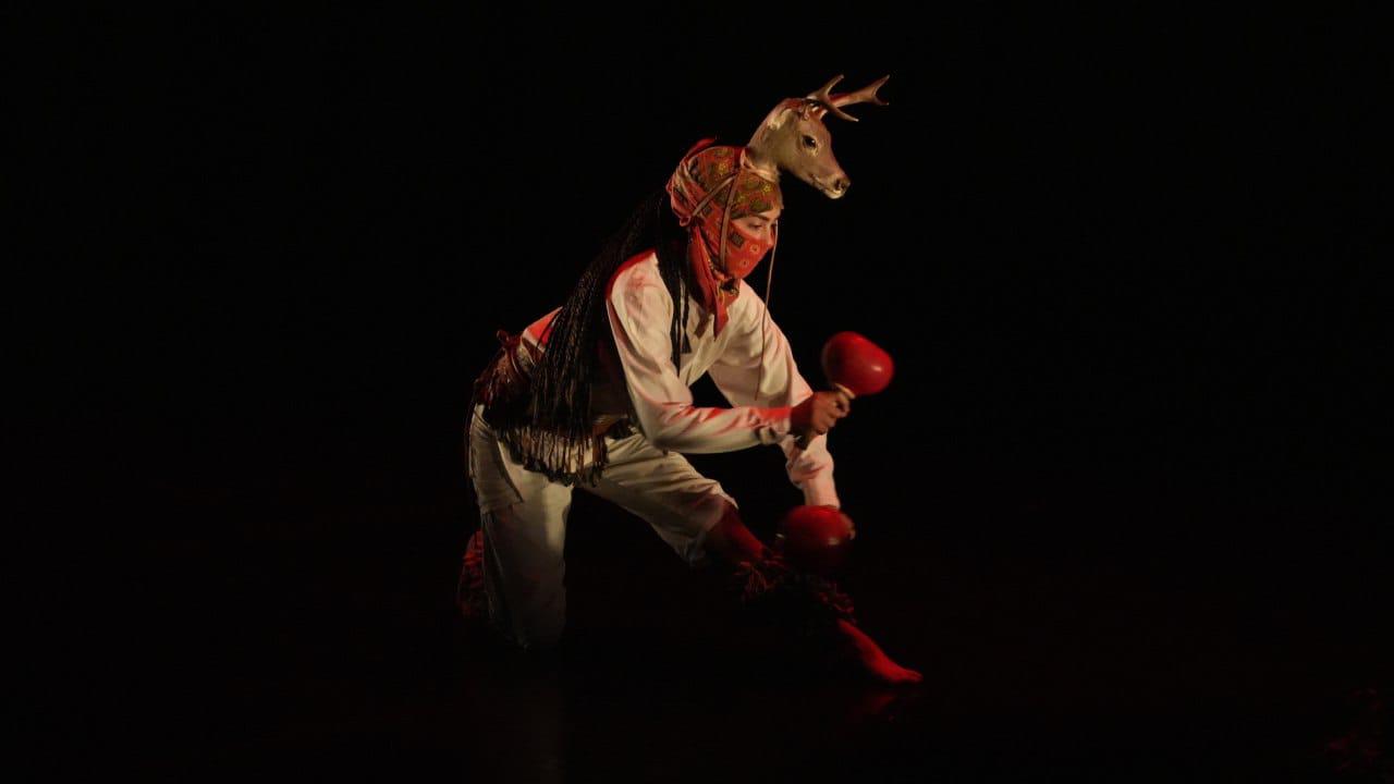 $!Muestra la danza Juya Ania el vínculo entre el humano y la naturaleza