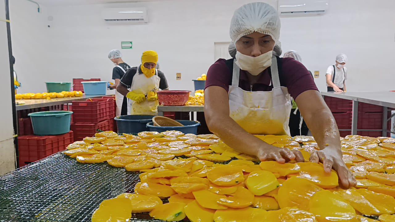 $!Apuestan por la transformación del mango en Escuinapa